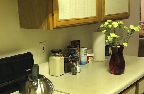 Bethesda Apartment | Cozy, homey, cute place walking to train and buses