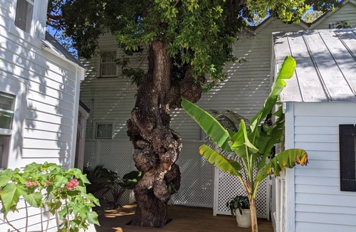 Historic Seaport Cottage | Cozy studio cottage in Old Town Key West