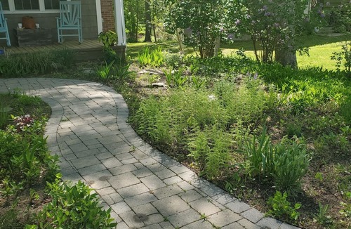 Niantic Cottage | Delightful Getaway Cottage in Giants Neck Heights Beach Community