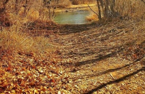 Camp Verde House | Enjoy a Hassle Free and Suiting Stay! Pets Allowed, Near Grand Canyon Tours!