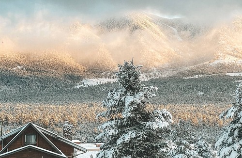 Fort Valley Cabin | Flagstaff Cabin! 5 Minutes from Snowbowl! Stunning Views on 1+ Acre. Sleeps 8!