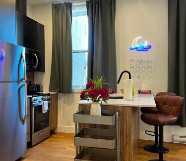 Downtown Halifax Apartment | Forest Breeze - Studio Downtown with King Bed Unit 409