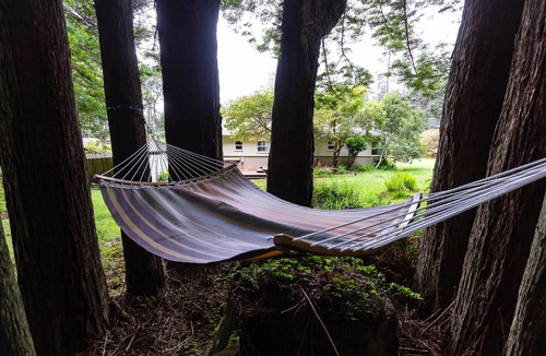 Little River Cottage | Forest oasis 3 min from beach + Hot Tub + Fire Pit
