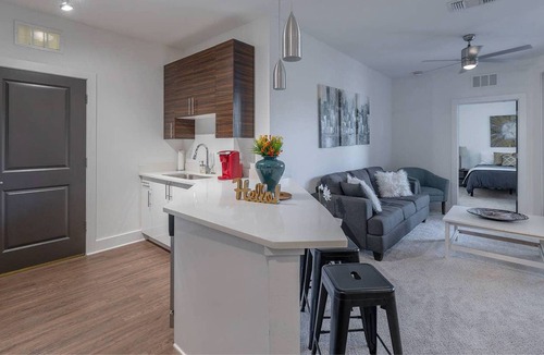 North Hyde Park Apartment | FRONTDESK NoHo Flats at North Hyde Park Apts Tampa