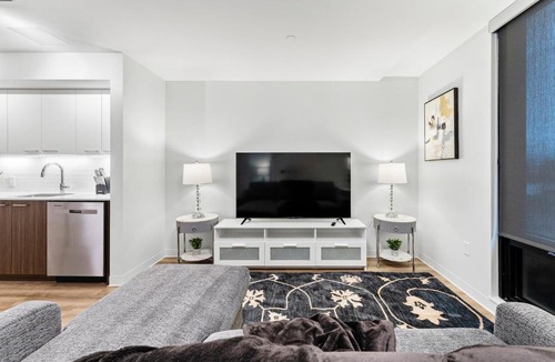 Lower Allston Apartment | Furnished Luxury Apartment Next to Harvard Stadium