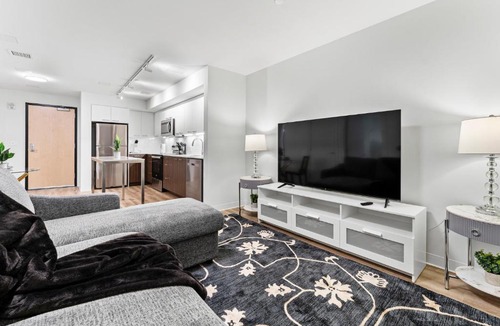 Lower Allston Apartment | Furnished Luxury Apartment Next to Harvard Stadium