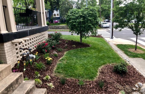 Brightwood Park House | Gorgeous 3BR Colonial House with a Backyard Oasis