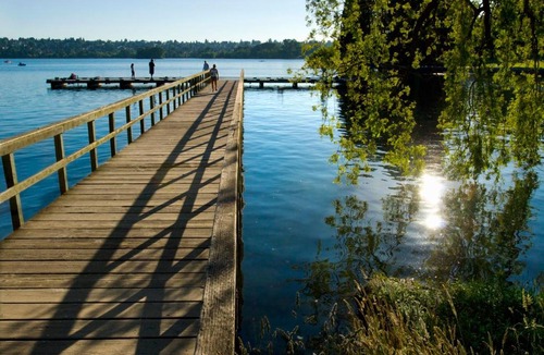 Seattle Villa | Green Lake 1st Line Home A with Central Air Conditioners