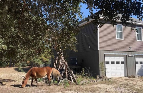 Carova Beach Cottage | Green Wave Cottage @Carova Beach NC 4x4 Artsy Nature Private Retreat 🌊 🐴 Hottub