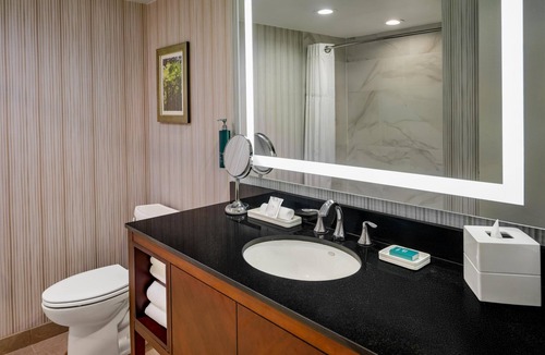 Rockville Hotel | Hilton Washington DC/Rockville Hotel & Executive Meeting Ctr