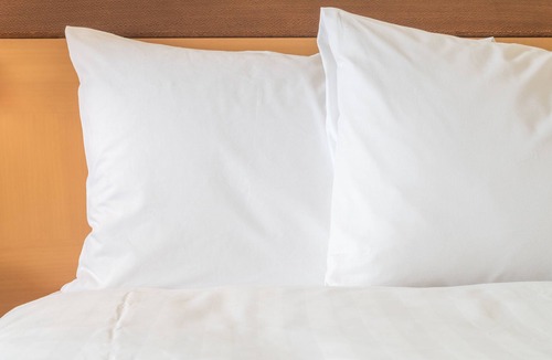 Sterling Hotel | Holiday Inn Washington-Dulles International Airport, an IHG Hotel