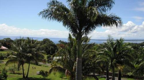 Papaikou House | Island Goode's - Luxury Adult Only Accommodation near Hilo