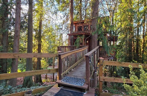 Cottage Lake Cabin | Kalptaru Treehouse Retreat