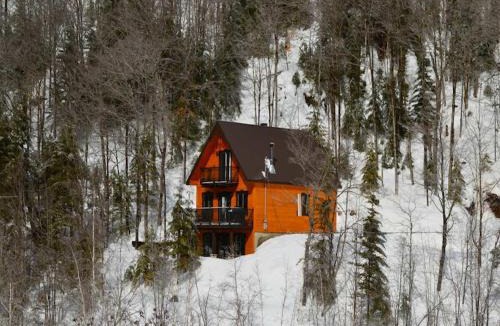 Entrelacs Ski Chalet | Kedros Lake Access, SPA, Canoe & Swim Platform