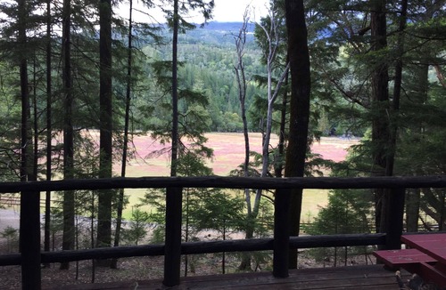 Potter Valley Cabin | Lake Pillsbury/Hull Mt.CabinStudio w/Kitchenette