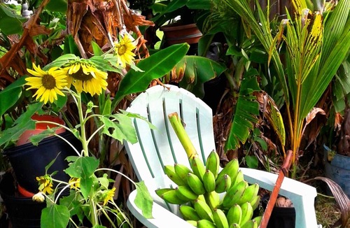 Indialantic By The Sea Apartment | Melbourne-Indialantic-by-the-Sea, Florida