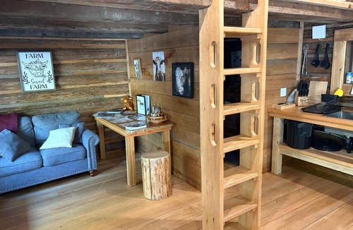 Clearwater Ski Chalet | Mini Moo-light Cabin