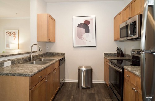Durham Apartment | Modern Apartment in Prime Location (ID2618X60)
