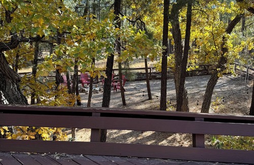 Munds Park Cabin | Modern Mountain Chalet Backing the National Forest/Pet Friendly