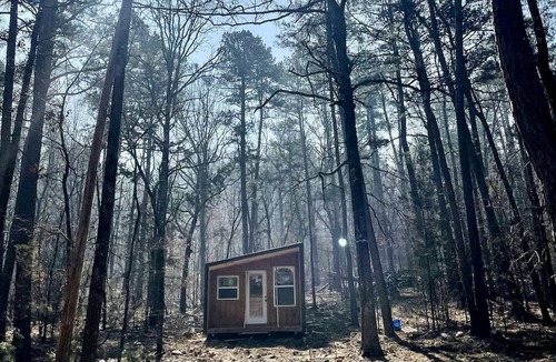 Boles Cabin | Modern Rustic Tiny Home Surrounded by Peaceful Pines in Boles, Arkansas