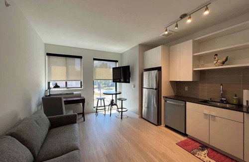 Hiawatha Apartment | Modern Sunny Micro 1BR Light Rail, Parks, MSP 205