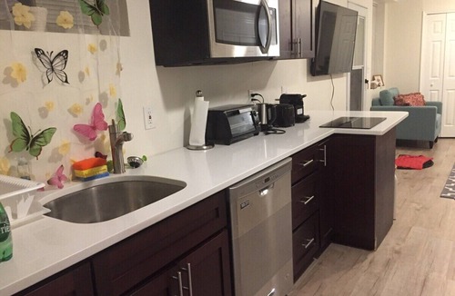 Mount Rainier Bed & Breakfast | NE DC LUX 2BR New Stylish Modern Sunny lowerApt