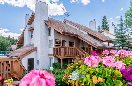 Banff Condo | NEW + Unique Wolf Condo | Hot Tub Access