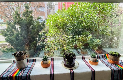 North Beacon Hill House | Peaceful urban oasis close to Downtown, stadiums and public transit