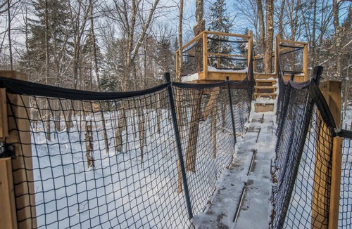 Saint-Faustin-Lac-Carre House | Perched treehouse built around a tree, bridge and deck | Lodging #12