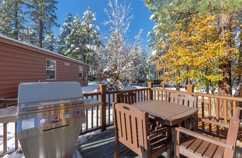 Pinetop Apartment | Right on the White Mountain Trail System! Hiking, Mountain Biking, Free Parking