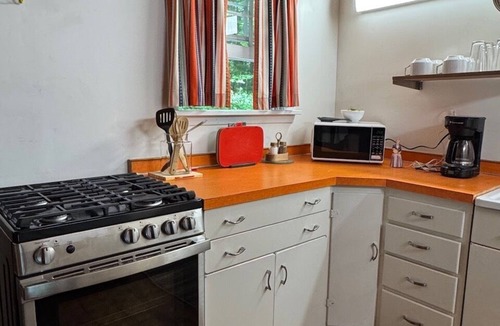 Plymouth Cabin | Rustic Cabin Minutes From Okemo - Views of Lake Ninevah, Nestled In Mt. Holly