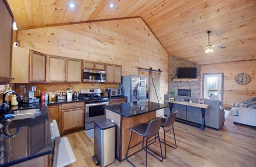 Copperhill Cabin | Rustic Moose- Hot Tub, Pets OK, Pool Table, Wifi, Views-Close to Ocoee River