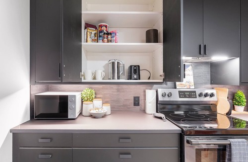 Stevens Apartment | Safe, Heart of Seattle Home Surrounded by Lush Greenery and 2 Parking Spots!