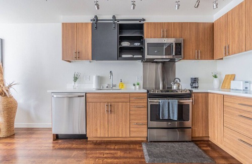 Mann Apartment | Seattle`s modern and stylish Penthouse Apartment- Wifi, Pet Friendly, Rooftop