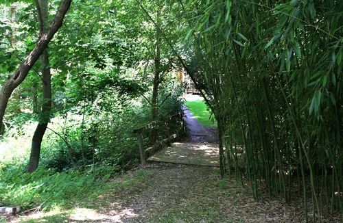 Athens Cottage | Secluded Wooded Setting 5 Minutes From Town