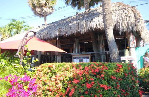 Aloha Kai Apartment | Siesta Key Getaway: Sun, Pool, & Fun