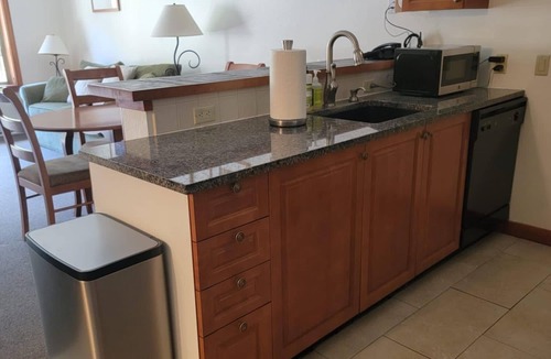 Salt Lake Mountain Resorts Apartment | Solitude ski condo