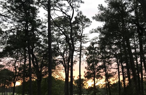Pinehurst Cottage | Spacious golf course view Studio