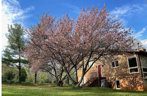Haywood House | Spacious Retreat with Outdoor Firepit & Large Deck