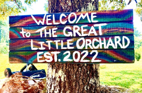 Jonesboro Cottage | The Great Little Orchard, "The GLO"- Cozy cottage with game room, mini trail