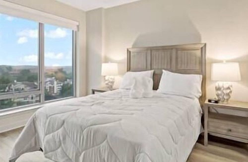 Vienna Apartment | True Luxury Living | Tysons | Comfort | Vibrant