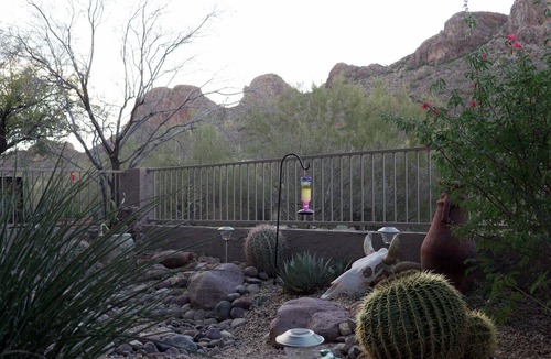 Gold Canyon House | Two Mountain Views in Gold Canyon