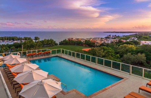 Coconut Grove Apartment | Vibrant Studio | Workspace | City Views
