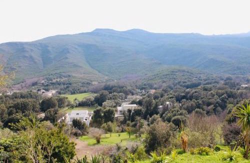 Sisco Apartment | Villa I Bugni