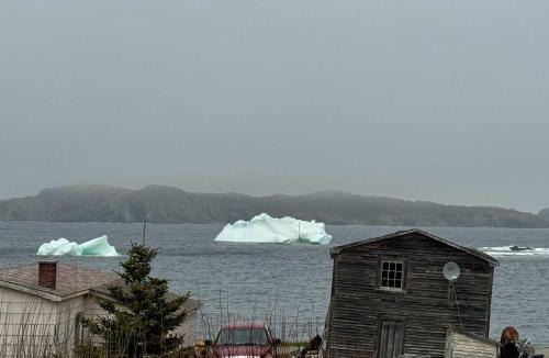 Twillingate House | Wild Cove Retreat