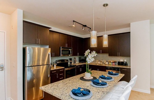 Downtown Baltimore Apartment | Work Relax in Luxury Pool and Free Parking 3 mins to Johns Hopkins