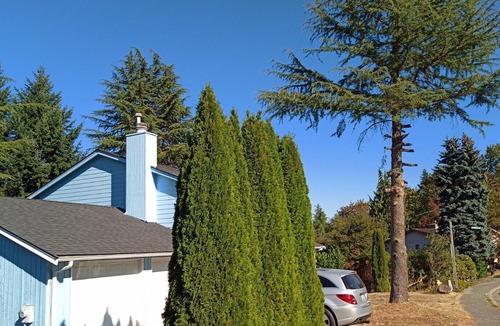 Bellevue House | Your Sweet Home @ Somerset Bellevue, a sought after place near golf club, shops!
