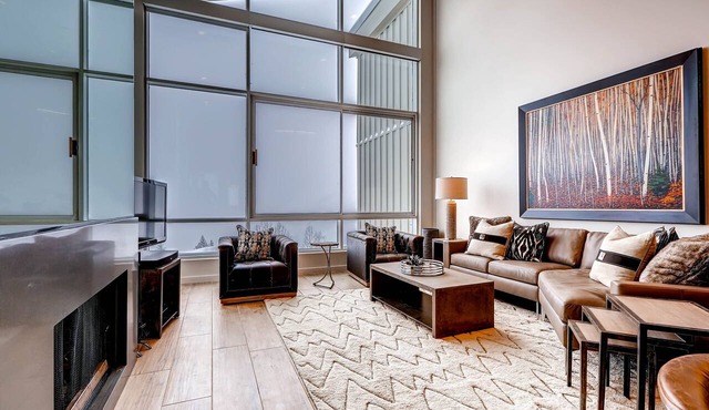 100 Percent Completely Renovated Gorgeous Snowbird Ski In/Ski Out Condominium