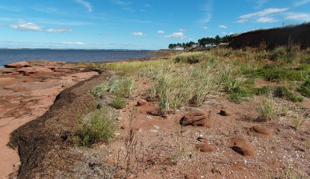 2Bedroom Cottage With Stunning Views Of Malpeque Bay & Beach Access