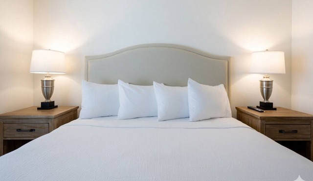 3 Accommodations for Large Groups with Pets | Parking Available | Ocala Stays!